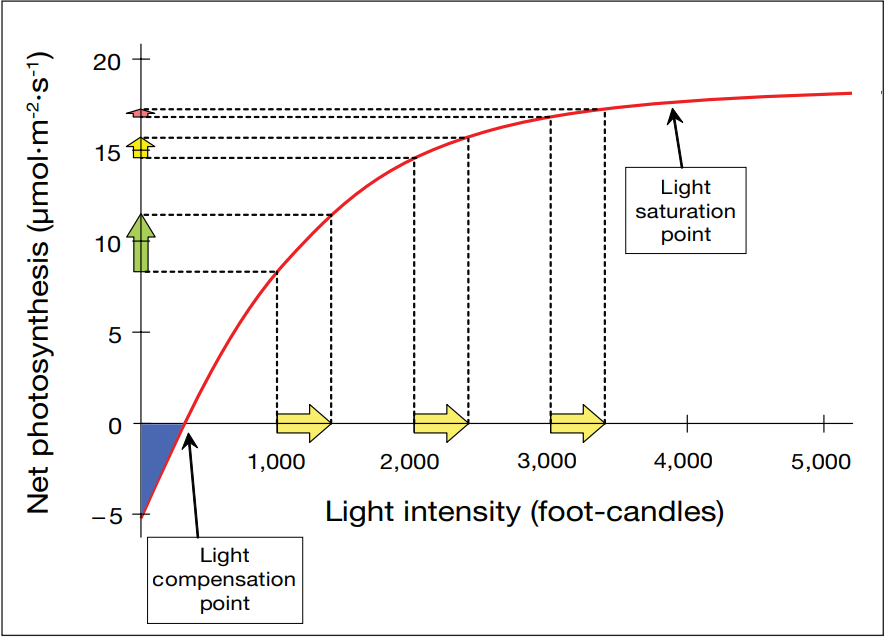 Maximizing fig 1